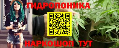 прущая мука Кимры