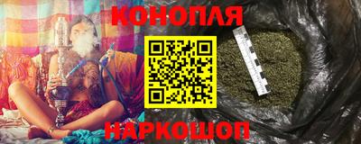 прущие крисы Кингисепп