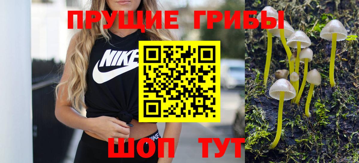 Ликино-Дулёво  Галлюциногенные грибы Magic Shrooms  Вход с VPN 